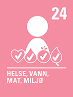 Artikkel 24 - Helse, vann, mat, miljø