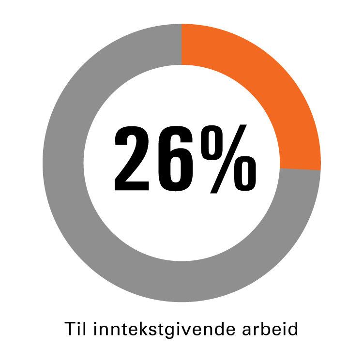 26% av inntektene i 2020 gikk til inntektsgivende arbeid