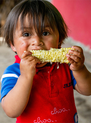 En gutt spiser på en maiskolbe, Guatemala