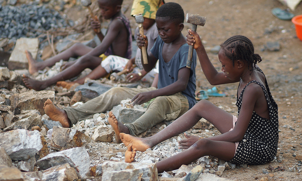 Barn hogger stein Sierra Leone