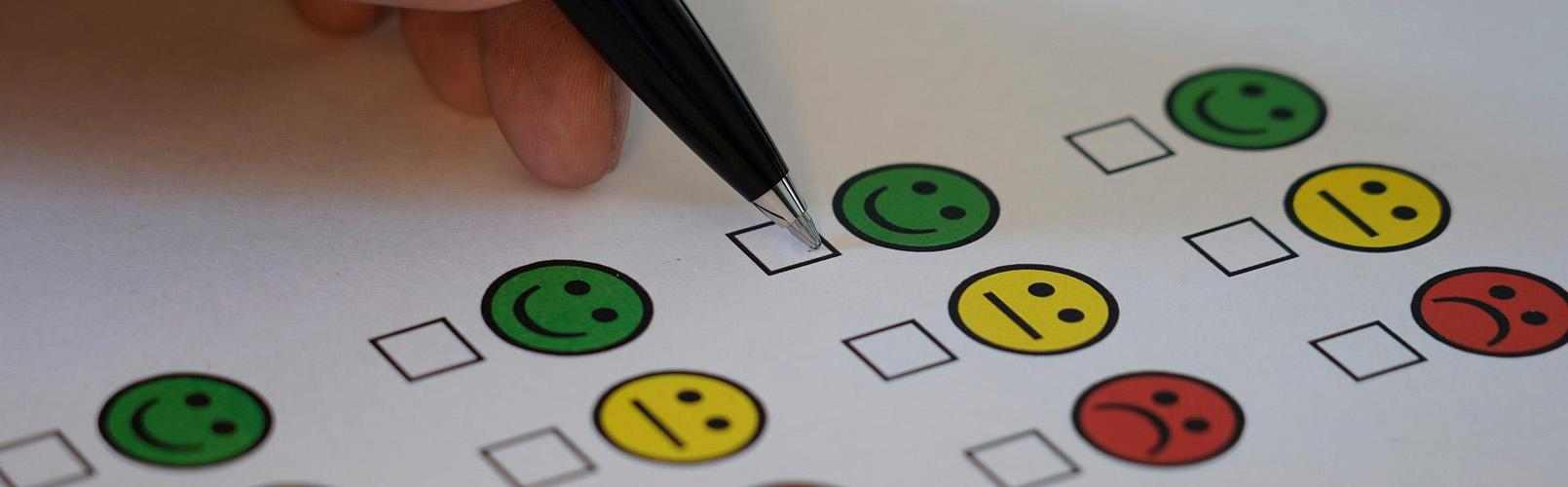 Skjema med emojies