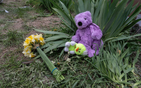 Bamse og blomster Ukraina