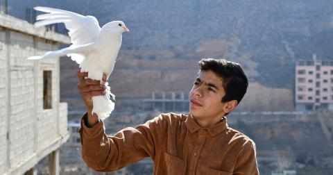 Mohammed holder en hvit due, Syria