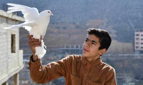 Mohammed holder en hvit due, Syria